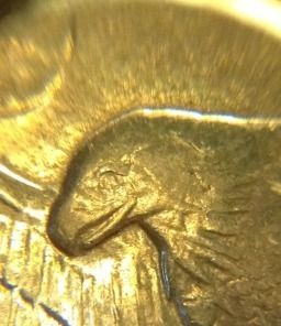 1971-D-Friendly-Eagle-Variety?